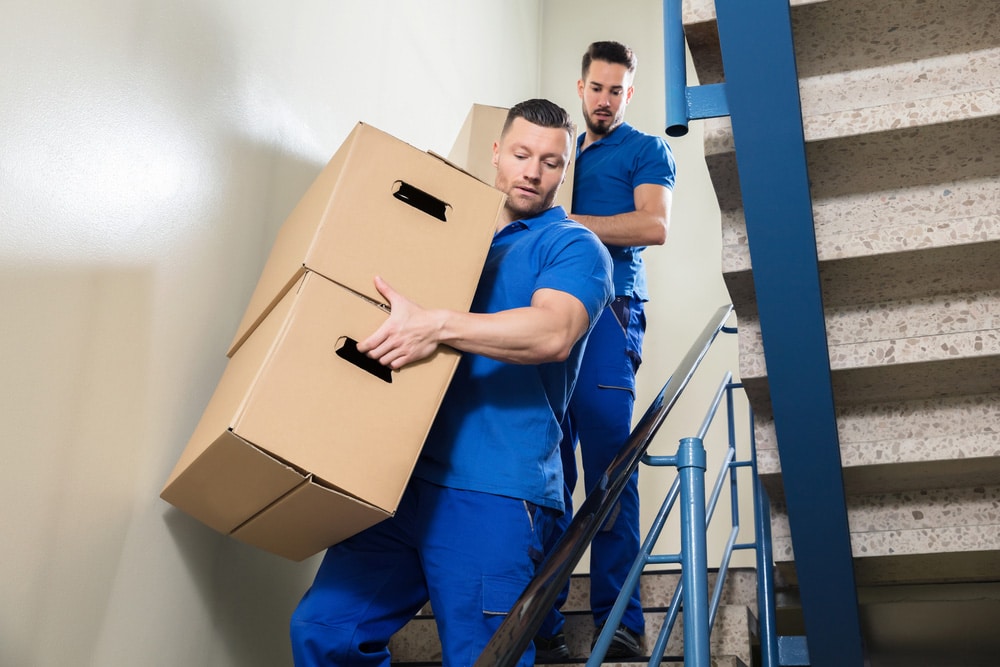 Two Movers Carrying Boxes On Staircase